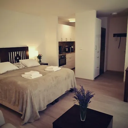 Bed&bike Apartment Prachatice