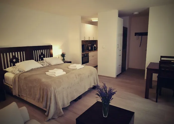 Bed&bike Lejlighed Prachatice
